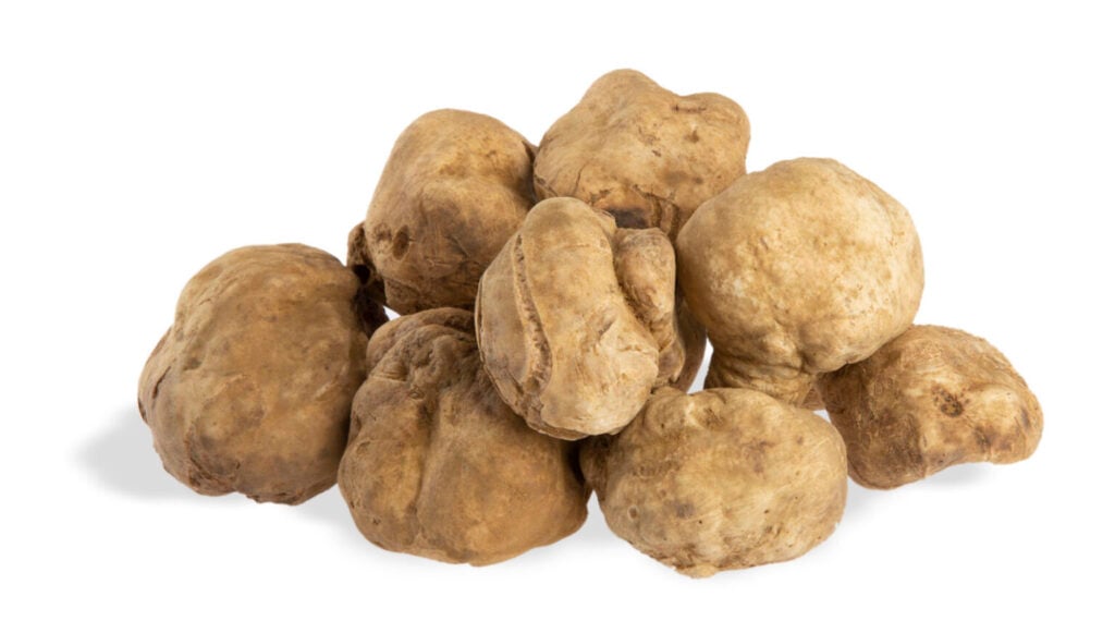 Бял Трюфел - TUBER MAGNATUM PICO