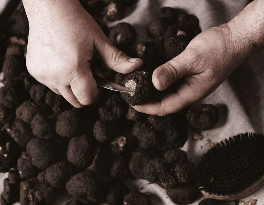 Почистване и съхранение - Tartufi.bg