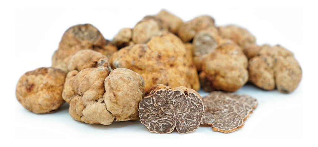 Трюфел Бианчето - TUBER BORCHII OR PICO ALBIDUM