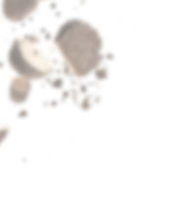 Летящи в пространството трюфели